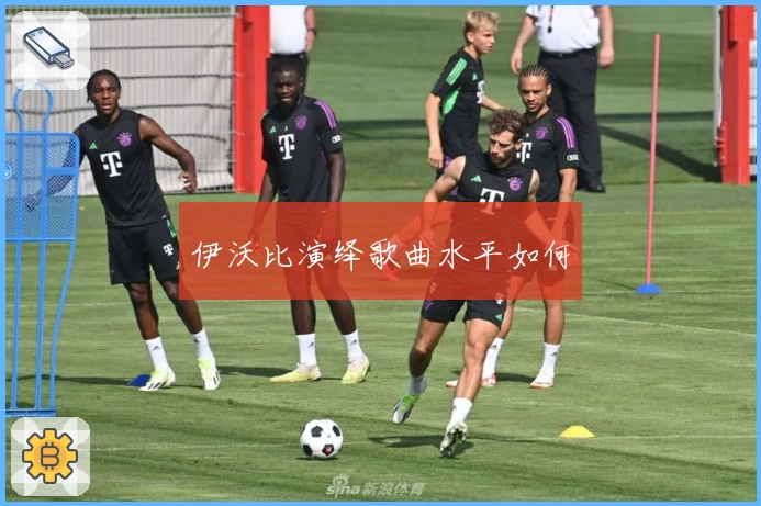 伊沃比演绎歌曲水平如何