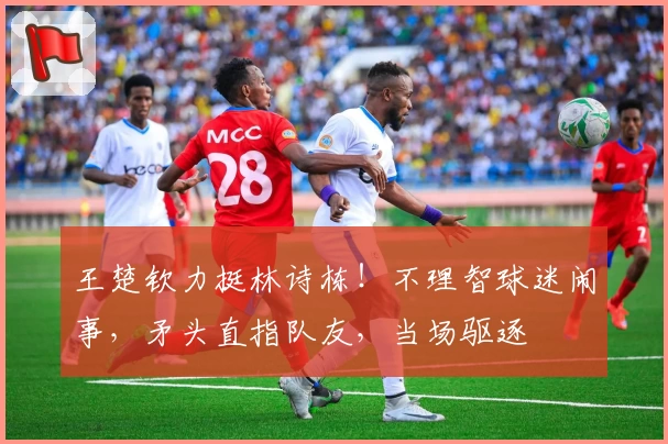 王楚钦力挺林诗栋！不理智球迷闹事，矛头直指队友，当场驱逐
