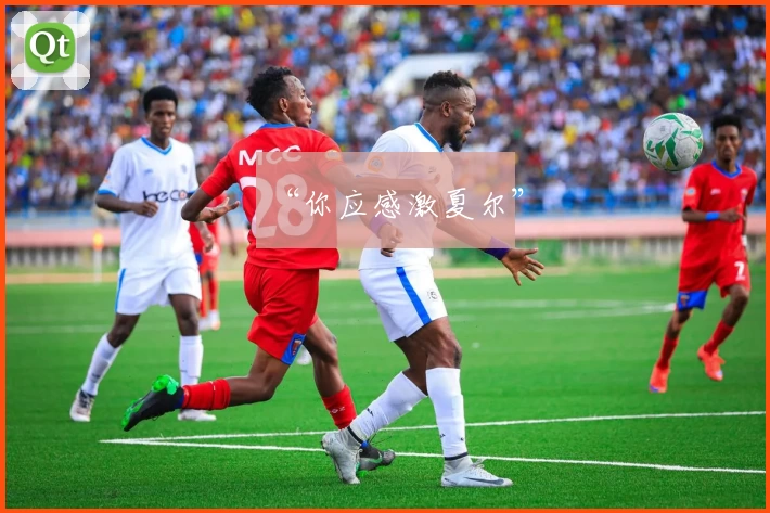 “你应感激夏尔”