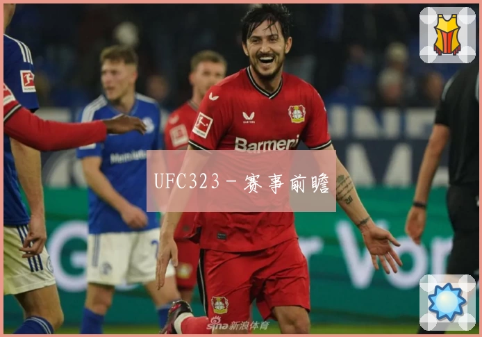 UFC323 - 赛事前瞻